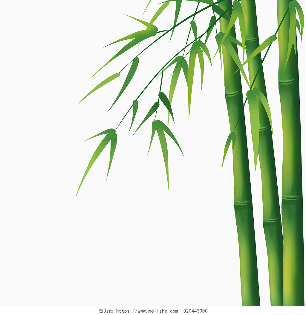 竹子唯美古风写实免抠插画元素竹子中国风竹子手绘竹子